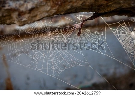 Spider web spread across old iron structure. 