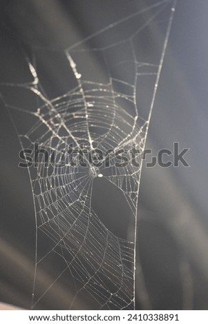 A spider web is a sticky net made of silk that spiders used to catch their prey.Spider webs can be flat, bowl-shaped or dome-shaped.They can also take the form of nets, baskets or tramways.