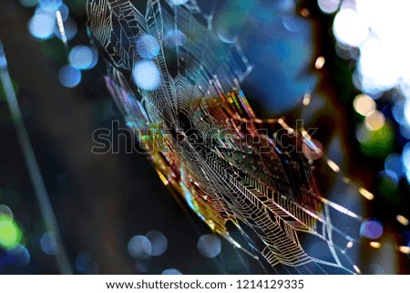 Similar – Image, Stock Photo abstract shapes with branches in nature