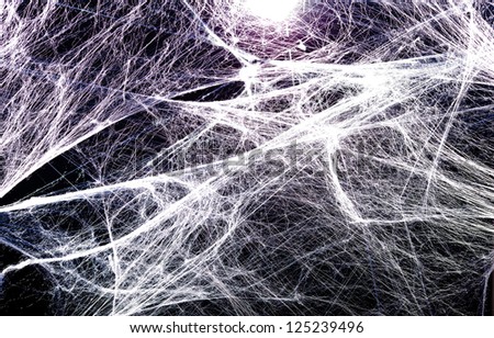 spider web texture background