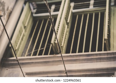 spider web window view