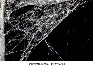 Spider Web,halloween Background