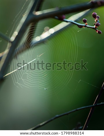 Similar – Image, Stock Photo wire mesh fence Deserted