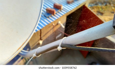 Spider's Web With Background Blur