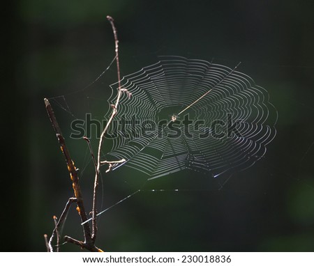 Similar – Image, Stock Photo The way Environment Nature