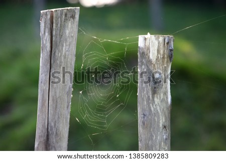 Similar – Image, Stock Photo wire mesh fence Deserted