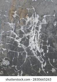 Spiderweb crazing crack pattern on dark gray plaster cement background