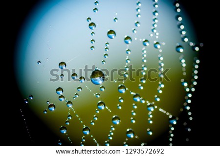 Similar – Image, Stock Photo fluid Water Drops of water