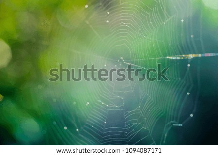 Similar – Image, Stock Photo *100* Drop photos Nature