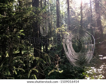 Similar – Image, Stock Photo 2200 raindrops