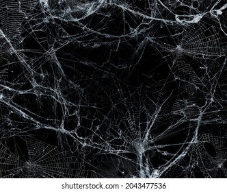 Spiderweb On Black Darkness - Halloween Background - Real Cobweb - Shutterstock ID 2043477536