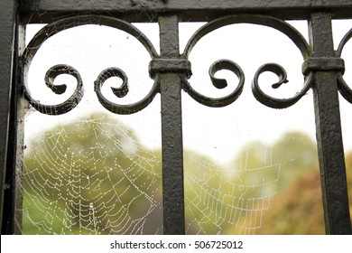Spiderweb on the gate