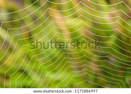 Image, Stock Photo wire mesh fence Deserted