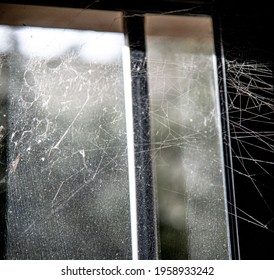 Spiderweb On A Window Frame Back Lit By Sun