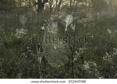 Similar – Grenzerfahrung Umwelt