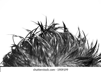 Spiked Hair. B&W