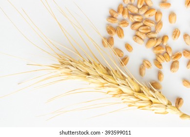 Flying Wheats Ingredient 3d Illustration On Stock Vector (royalty Free 