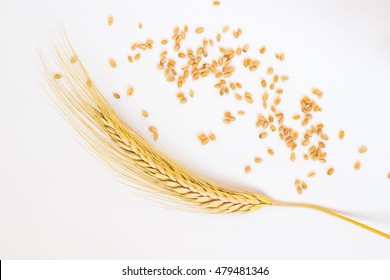 spikelets of wheat and grain on the white background. Top view