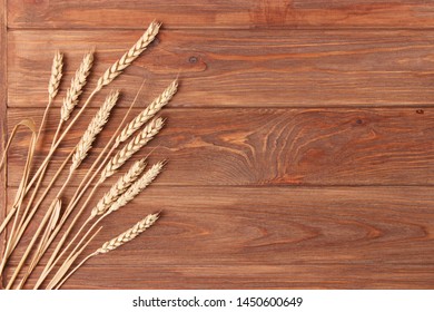 spikelets of wheat on a colored background top view.

