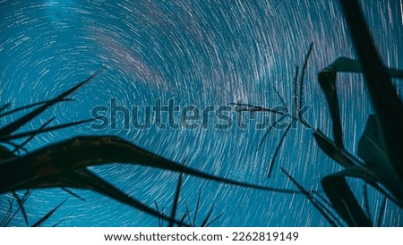 Spin Trails Of Stars Above Maize Corn Field Plantation. Night Starry Sky Glowing Milky Way Stars And Meteoric Track Trails Above Maize Corn Field In Summer Agricultural Season Cornfield. Rotate Motion