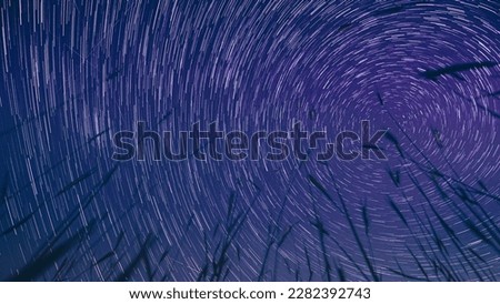 Spin Trails Of Stars Above Young Wheat Sprouts In Summer Agricultural Season. Rotate Sky Star Background. Night Starry Sky Glowing Milky Way Stars And Meteoric Track Trails Above Young Barley Sprouts