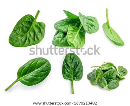 Spinach. Creative layout made of  Spinach leaves   isolated on white background.  Top view. Flat lay.