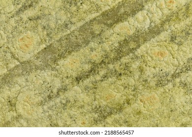 Spinach Flavored Wheat Tortilla Wraps. Spanish Or Mexican Circular Unleavened Flatbread From Wheat Flour. Ingredient For Cooking Fast Food Or Snack. Closeup, Texture Background