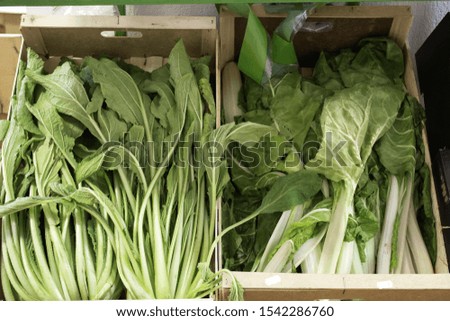 Similar – Image, Stock Photo Spinach farm. Organic spinach leaves on the field.