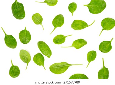 Spinach Isolated