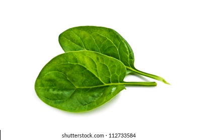 Spinach Isolated On White Background