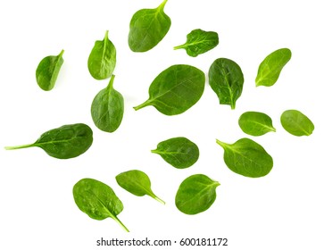 Spinach Isolated On White Background