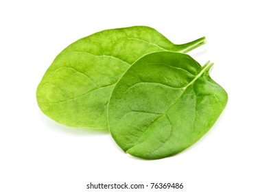 Spinach Isolated On White Background