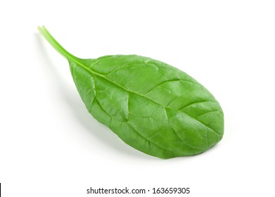 Spinach Leaf Isolated On White Background