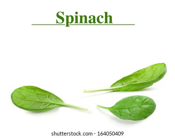 Spinach Leaf Isolated On White Background