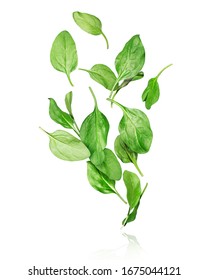 Spinach Leaves In The Air On A White Background