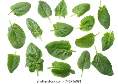 Spinach Leaves Isolate On White Background Top View