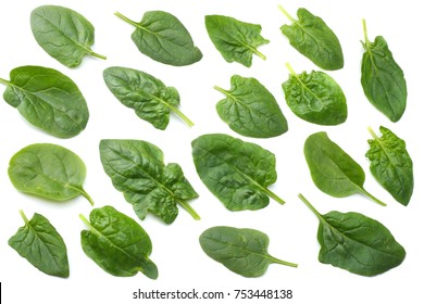 Spinach Leaves Isolate On White Background Top View