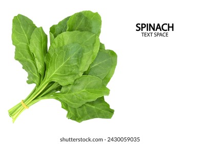 Spinach leaves isolated on white, fresh spinach isolated on white background with copy space for your text. Creative layout made of spinach, Food concept, Top view