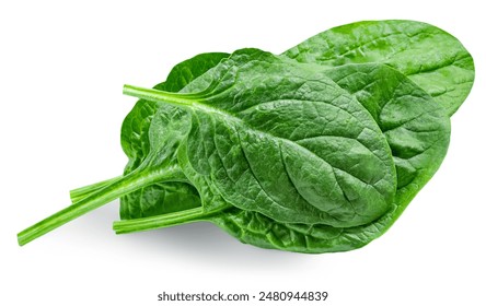 Spinach leaves isolated on white background. Baby Spinach leaf  Flat lay. Top view.
