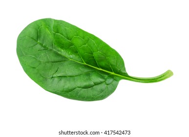 Spinach Leaves Isolated On White Background