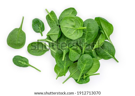 Spinach leaves isolated on white background. Pile of Spinach leaf Macro. Top view. Flat lay.
