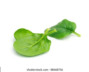 Spinach Leaves On White