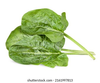 Spinach Leaves On White Isolated Background