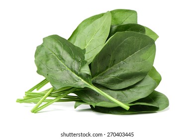 Spinach on white background
