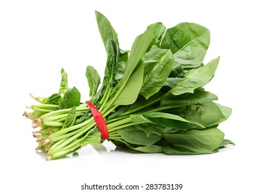 Spinach On White Background