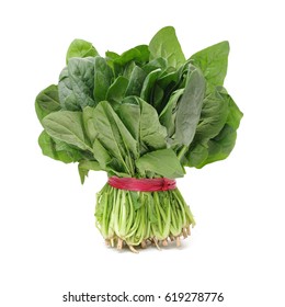 Spinach On White Background