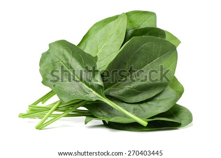 Spinach on white background