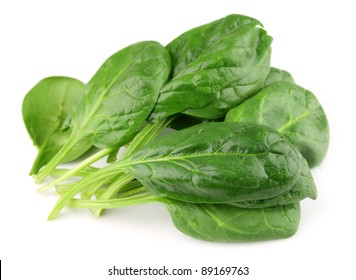 Spinach On White Close Up