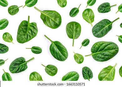 Spinach Pattern. Creative layout made of spinach leaves isolated on white background. Flat lay. Healthy Food concept.