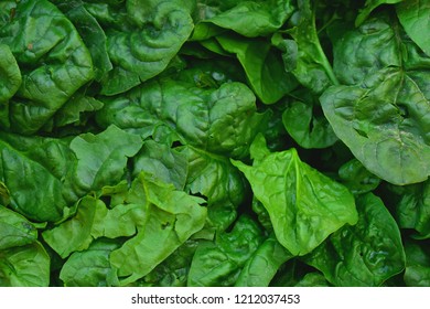 Spinach Salad Leaves